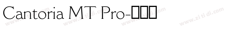 Cantoria MT Pro字体转换
